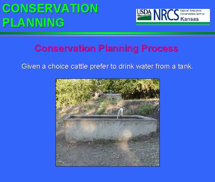 CONSERVATION PLANNING Conservation Planning Process Given a choice cattle prefer to drink water from