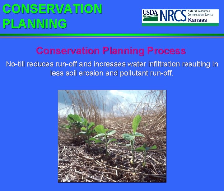 CONSERVATION PLANNING Conservation Planning Process No-till reduces run-off and increases water infiltration resulting in