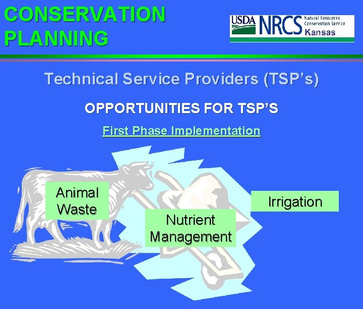 CONSERVATION PLANNING Technical Service Providers (TSP’s) OPPORTUNITIES FOR TSP’S First Phase Implementation Animal Waste