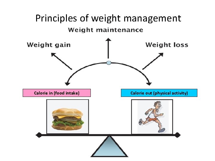 Principles of weight management Calorie in (food intake) Calorie out (physical activity) 