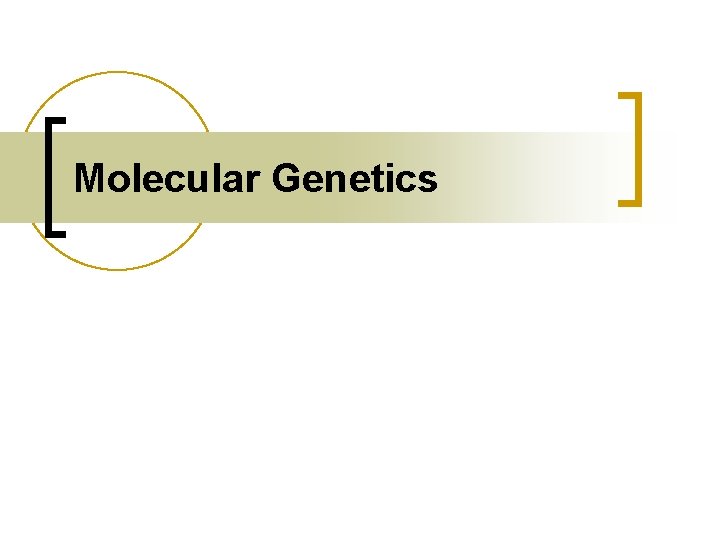 Molecular Genetics 