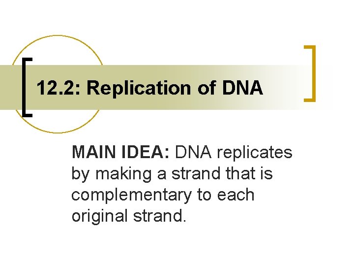 12. 2: Replication of DNA MAIN IDEA: DNA replicates by making a strand that