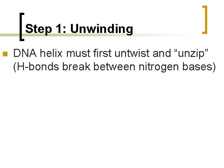 Step 1: Unwinding n DNA helix must first untwist and “unzip” (H-bonds break between