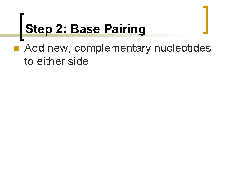Step 2: Base Pairing n Add new, complementary nucleotides to either side 