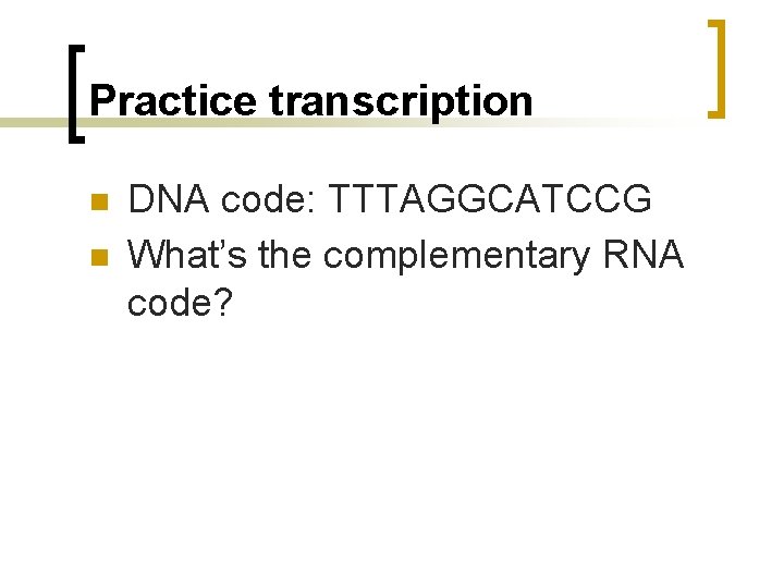 Practice transcription n n DNA code: TTTAGGCATCCG What’s the complementary RNA code? 