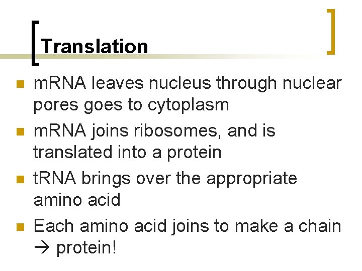 Translation n n m. RNA leaves nucleus through nuclear pores goes to cytoplasm m.
