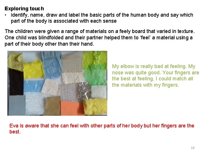 Exploring touch • identify, name, draw and label the basic parts of the human