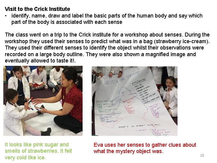 Visit to the Crick Institute • identify, name, draw and label the basic parts