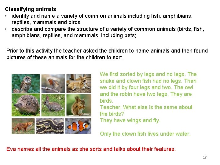 Classifying animals • identify and name a variety of common animals including fish, amphibians,
