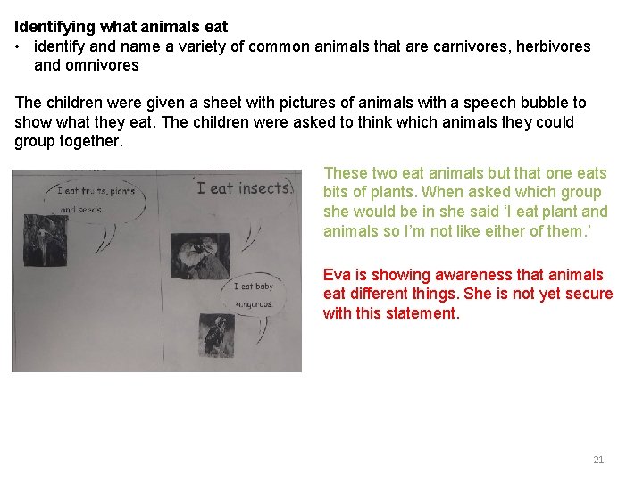 Identifying what animals eat • identify and name a variety of common animals that