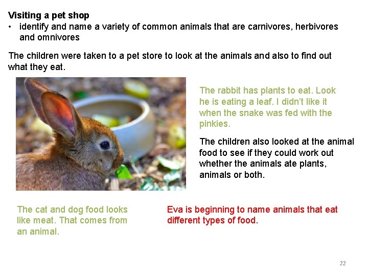 Visiting a pet shop • identify and name a variety of common animals that
