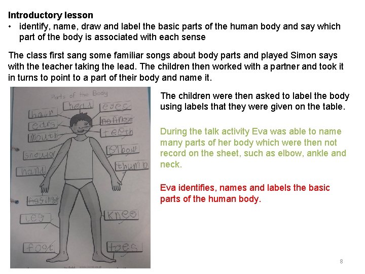 Introductory lesson • identify, name, draw and label the basic parts of the human
