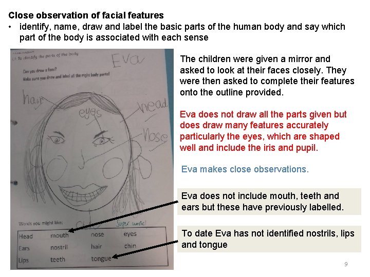 Close observation of facial features • identify, name, draw and label the basic parts