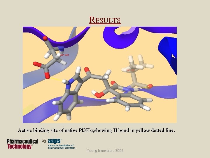 RESULTS Active binding site of native PI 3 Kα; showing H bond in yellow