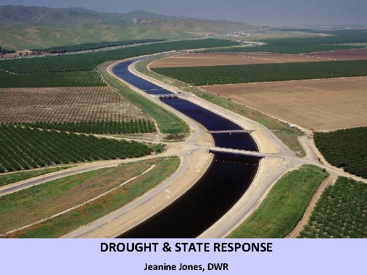 DROUGHT & STATE RESPONSE Jeanine Jones, DWR 