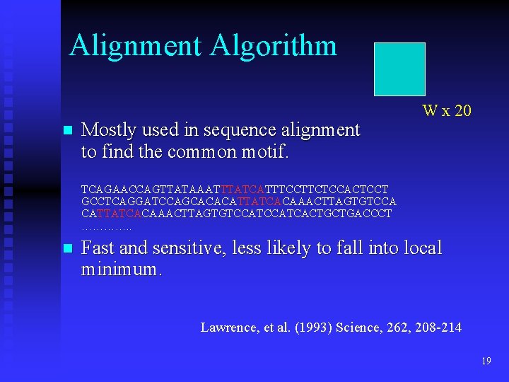 Alignment Algorithm n Mostly used in sequence alignment to find the common motif. W