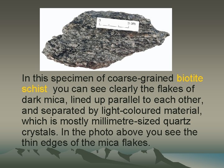 In this specimen of coarse-grained biotite schist you can see clearly the flakes of