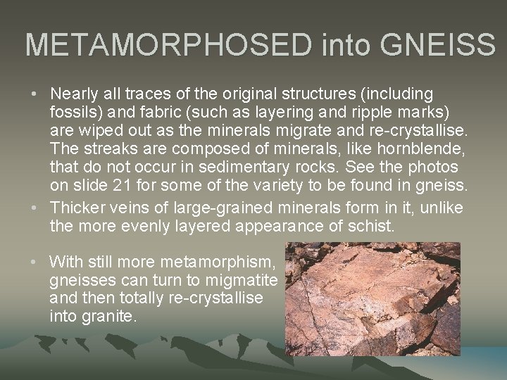 METAMORPHOSED into GNEISS • Nearly all traces of the original structures (including fossils) and