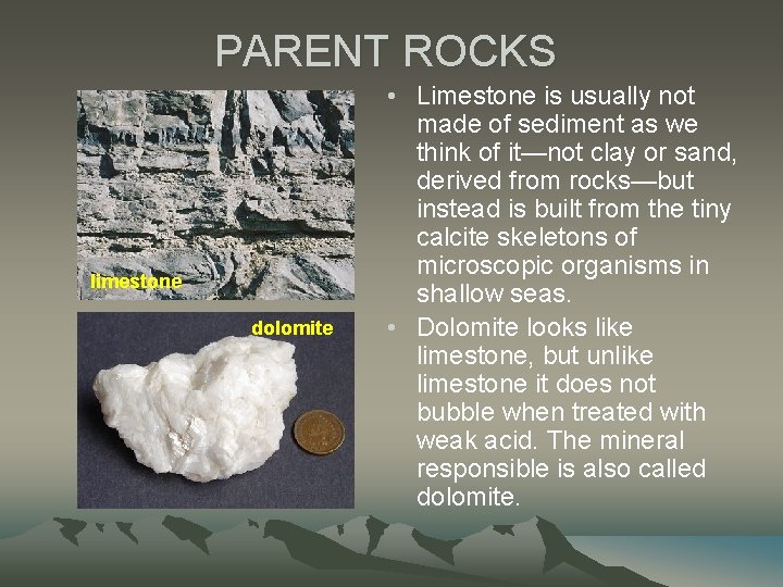 PARENT ROCKS limestone dolomite • Limestone is usually not made of sediment as we