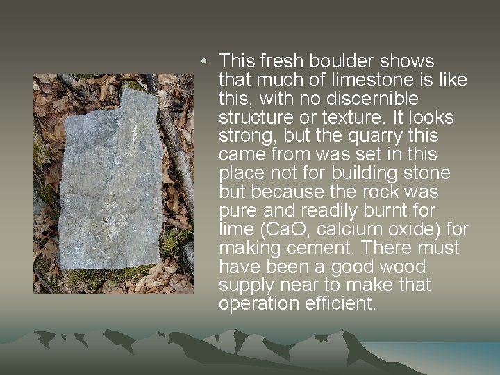  • This fresh boulder shows that much of limestone is like this, with