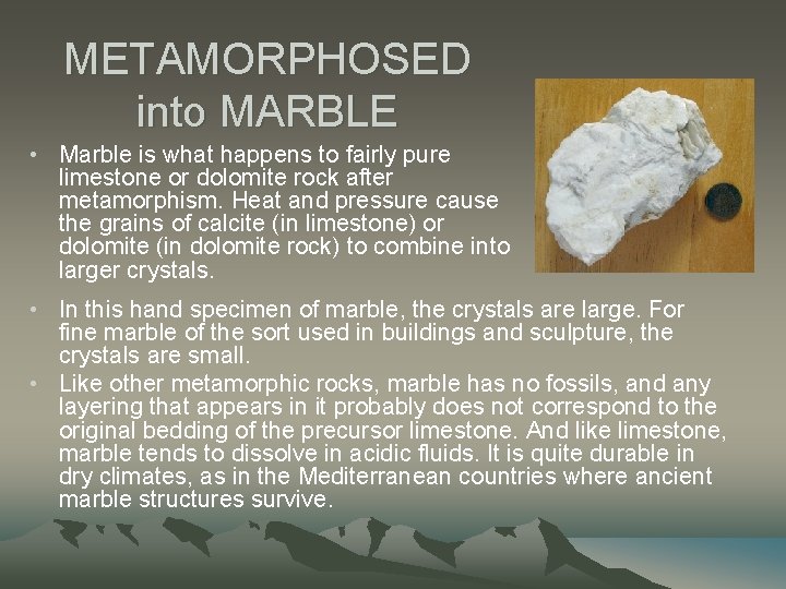 METAMORPHOSED into MARBLE • Marble is what happens to fairly pure limestone or dolomite
