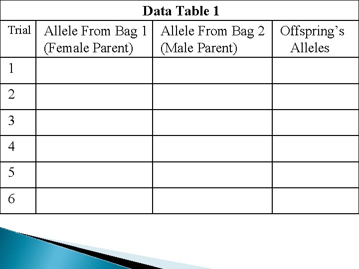 Data Table 1 Trial Allele From Bag 1 Allele From Bag 2 (Female Parent)