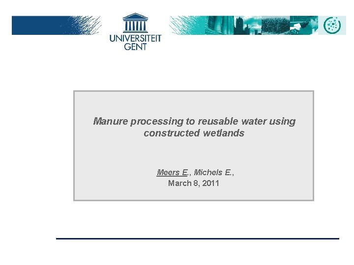Manure processing to reusable water using constructed wetlands Meers E. , Michels E. ,