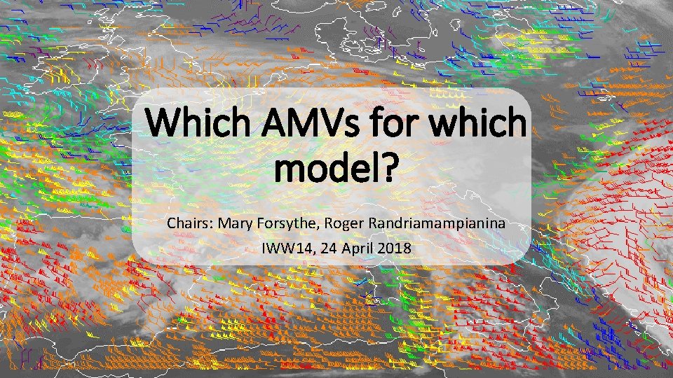 Which AMVs for which model? Chairs: Mary Forsythe, Roger Randriamampianina IWW 14, 24 April