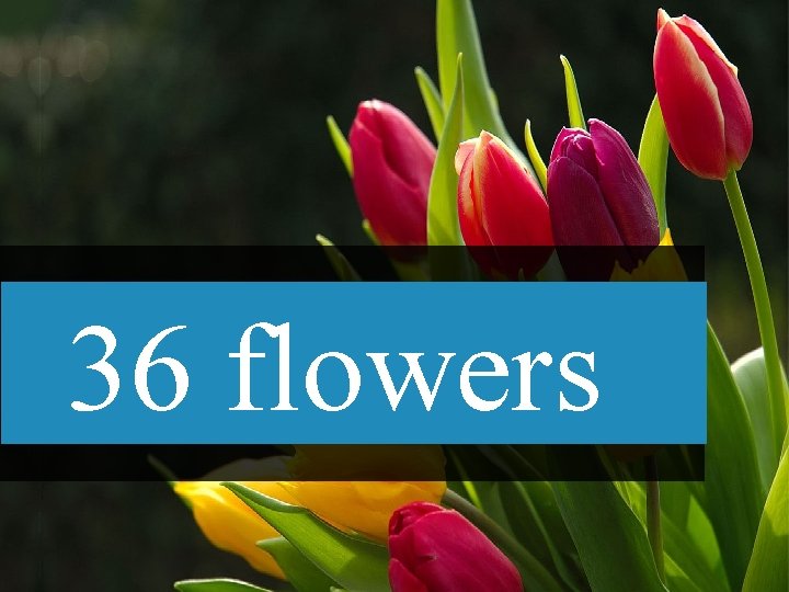 36 flowers 