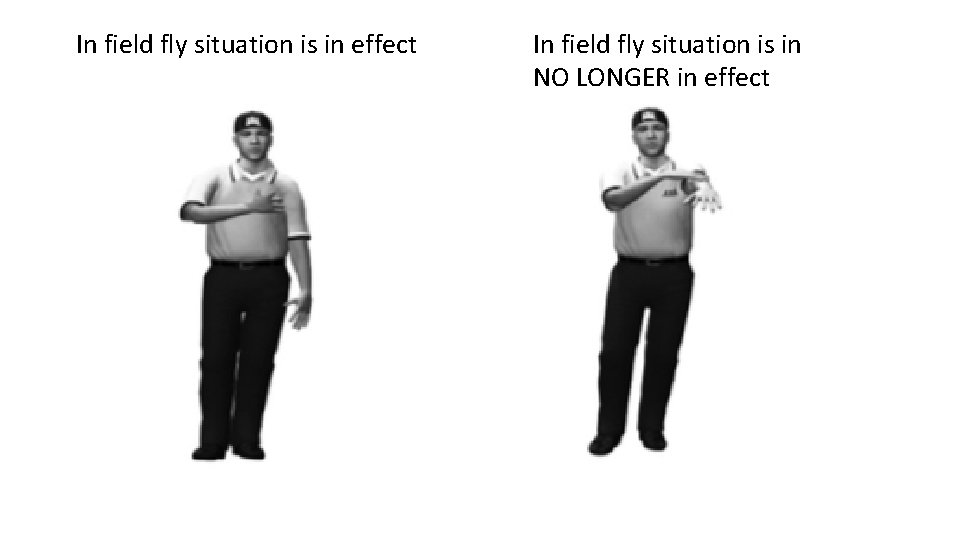 In field fly situation is in effect In field fly situation is in NO