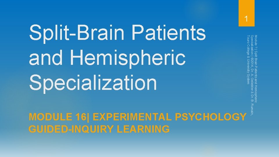 MODULE 16| EXPERIMENTAL PSYCHOLOGY GUIDED-INQUIRY LEARNING Module ? | Split Brain Patients and Hemispheric