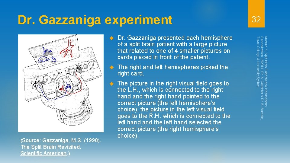 Dr. Gazzaniga experiment Dr. Gazzaniga presented each hemisphere of a split brain patient with