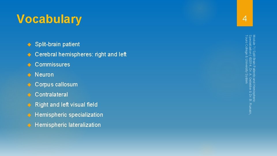 Vocabulary Split-brain patient Cerebral hemispheres: right and left Commissures Neuron Corpus callosum Contralateral Right