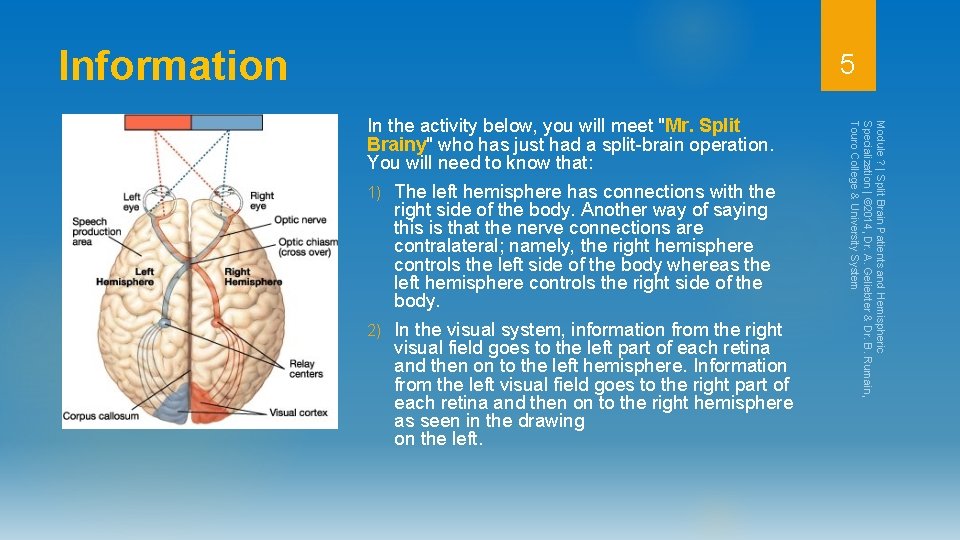 Information 5 1) The left hemisphere has connections with the right side of the