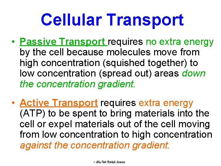 Cellular Transport • Passive Transport requires no extra energy by the cell because molecules