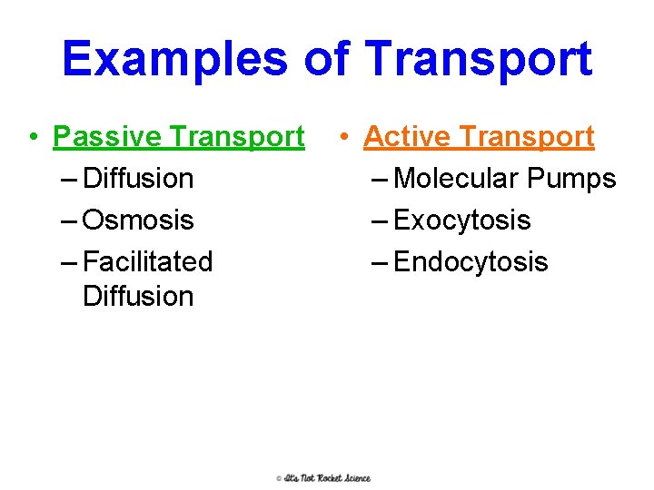 Examples of Transport • Passive Transport – Diffusion – Osmosis – Facilitated Diffusion •