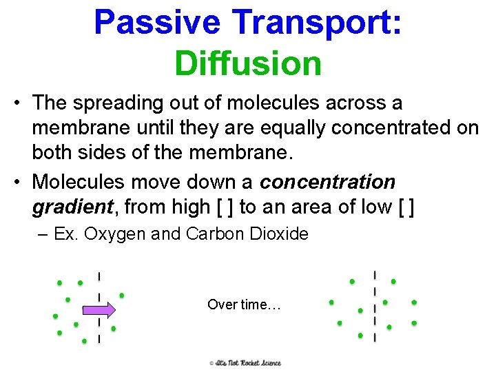 Passive Transport: Diffusion • The spreading out of molecules across a membrane until they