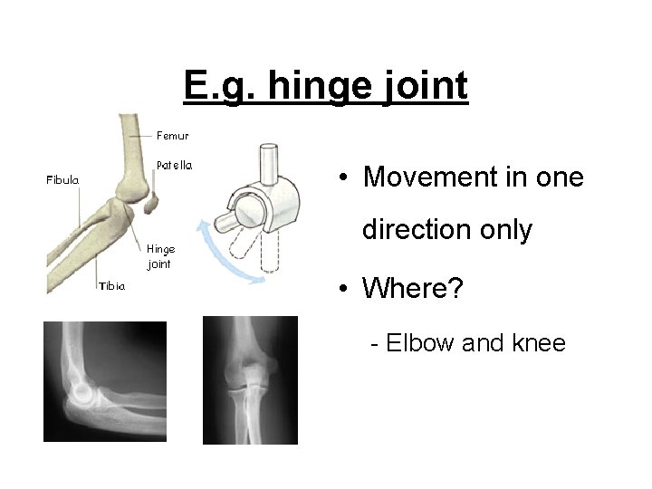 E. g. hinge joint • Movement in one direction only • Where? - Elbow