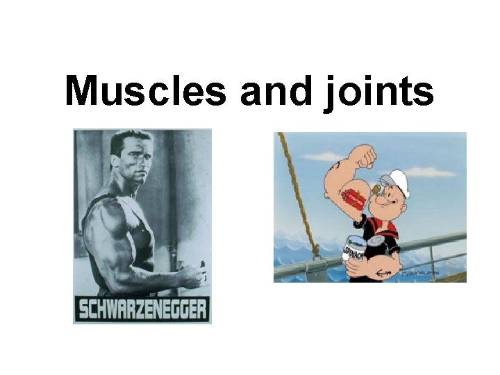Muscles and joints 
