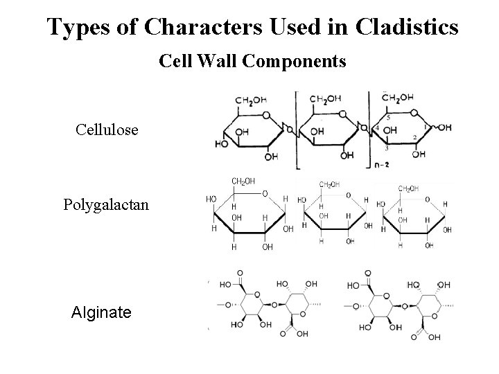 Types of Characters Used in Cladistics Cell Wall Components Cellulose Polygalactan Alginate 