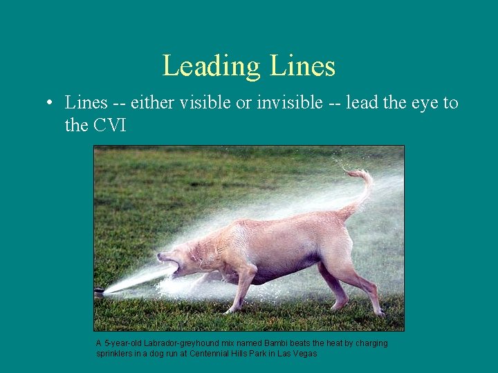 Leading Lines • Lines -- either visible or invisible -- lead the eye to Leading Lines • Lines -- either visible or invisible -- lead the eye to