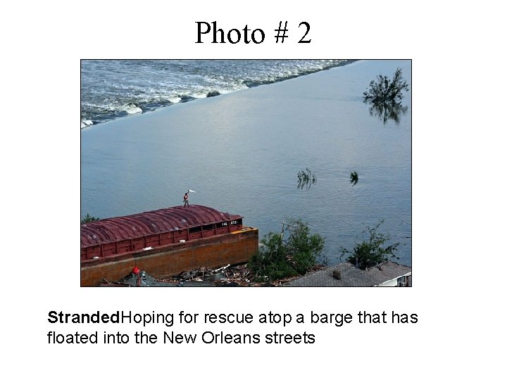 Photo # 2 Stranded. Hoping for rescue atop a barge that has floated into Photo # 2 Stranded. Hoping for rescue atop a barge that has floated into