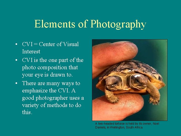 Elements of Photography The qualities of good photographs