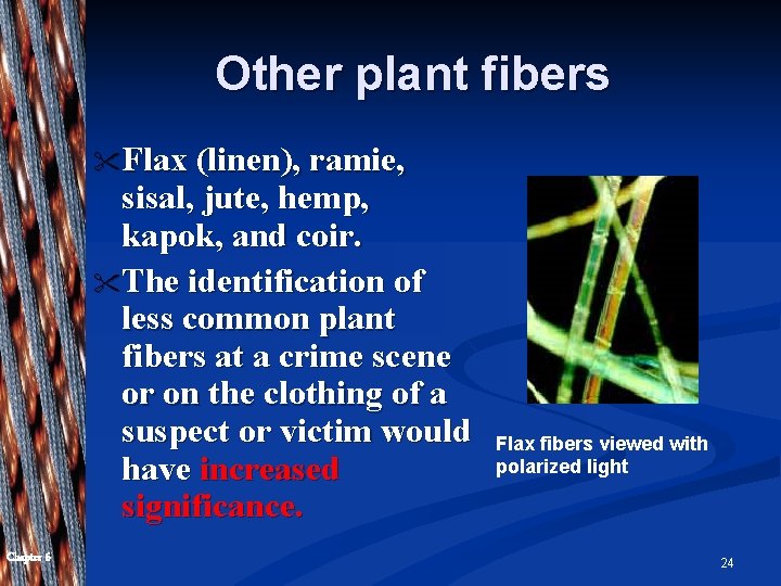 Other plant fibers " Flax (linen), ramie, sisal, jute, hemp, kapok, and coir. "