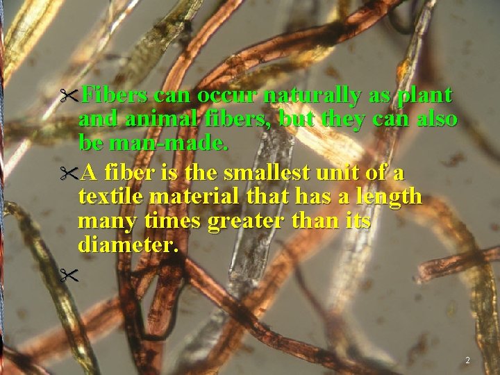 "Fibers can occur naturally as plant and animal fibers, but they can also be