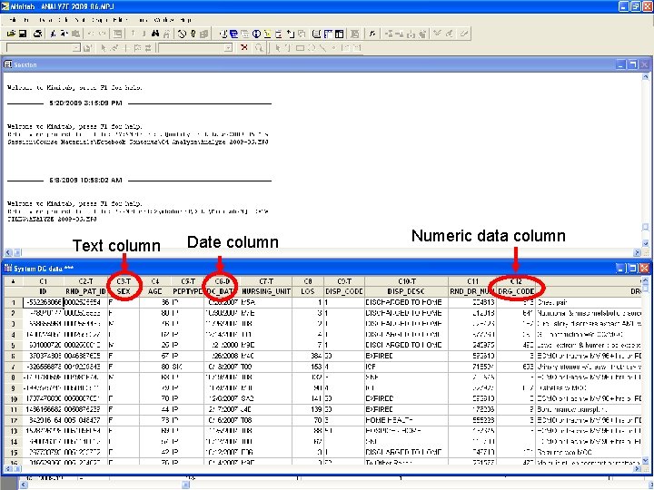 Text column 101 Date column Numeric data column 