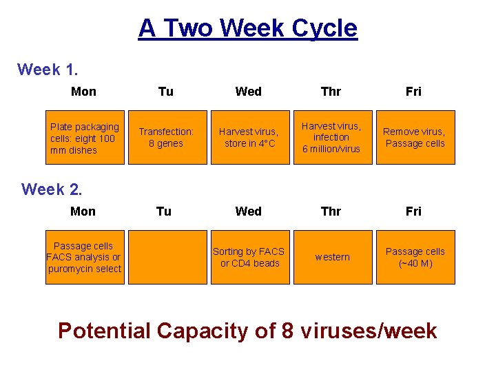 A Two Week Cycle Week 1. Mon Tu Wed Thr Fri Plate packaging cells: