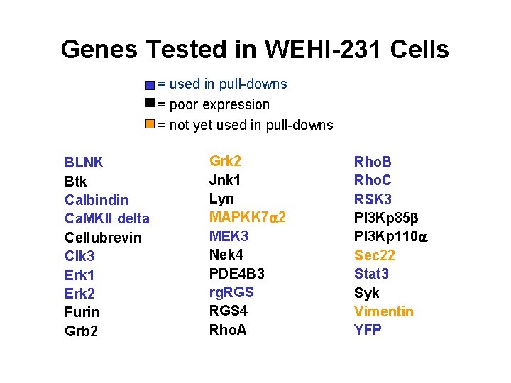 Genes Tested in WEHI-231 Cells = used in pull-downs = poor expression = not