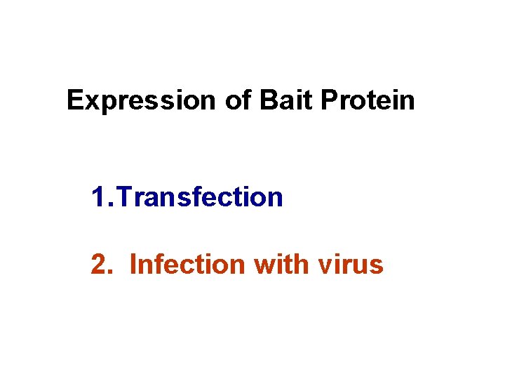Expression of Bait Protein 1. Transfection 2. Infection with virus 