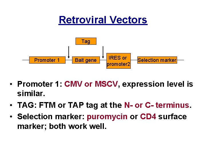 Retroviral Vectors Tag Promoter 1 Bait gene IRES or promoter 2 Selection marker •